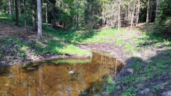 Tůně - oázy života v době sucha Ilustrační foto 4.jpg.