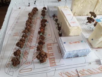 Dvouřadá alej velkých stromů před Olympií 20200223_142812.jpg.