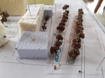 Dvouřadá alej velkých stromů před Olympií 20200223_142824.jpg.