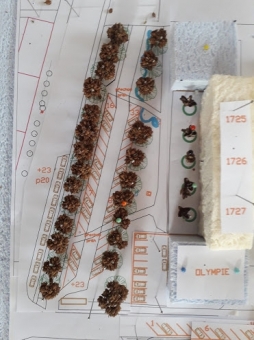 Dvouřadá alej velkých stromů před Olympií 1 20200223_145043.jpg.