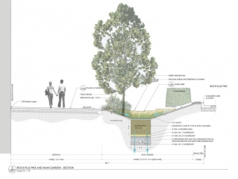 Dvouřadá alej velkých stromů před Olympií 86723640_2803895846356343_7678275835794554880_n.jpg.