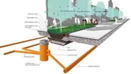 Dvouřadá alej velkých stromů před Olympií Závlaha.jpg.