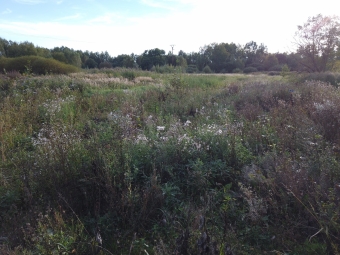 Discgolfový park Písek org_photo_6553714_1632411334000.jpg.