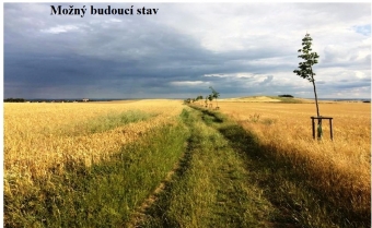 Cesta jako spojnice mezi místy Screenshot 2021-11-19 at 08-30-00 Jak mohou obce ozelenit krajinu Obnovou původních polních cest - Ekolist cz.jpg.