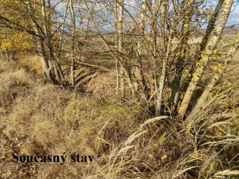 Cesta jako spojnice mezi místy 3.jpg.