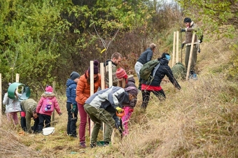 Krajinný prvek - plodonosný remíz na Kožichově komunitní sázení.jpg.